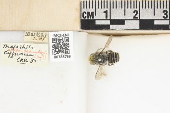 Media type: image;   Entomology 785769 Aspect: labels